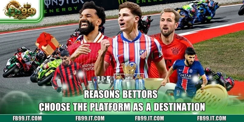 Reasons bettors choose the platform as a destination
