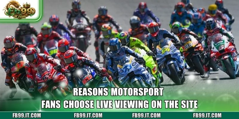 Reasons motorsport fans choose live viewing on the site