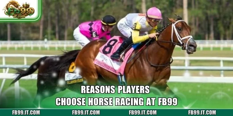 Reasons players choose horse racing at FB99